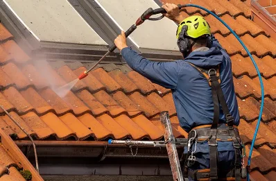 Démoussage et hydrofuge de toiture à Montaut